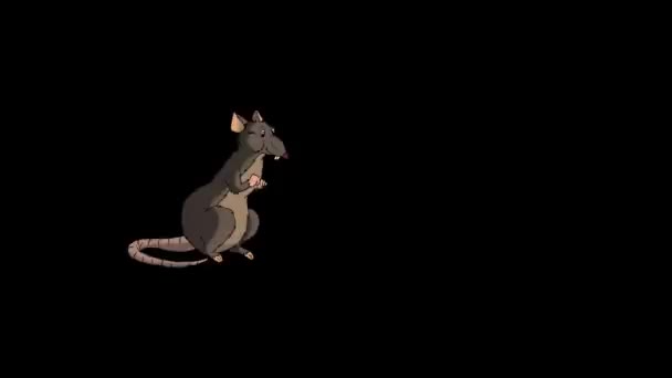 Brown Rat Gets Sniffs Something Animated Looped Motion Graphic Alpha — Stock Video