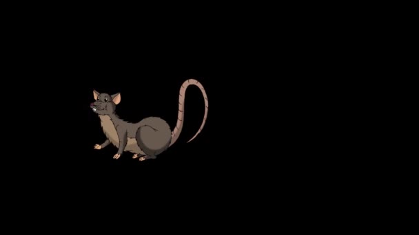 Kahverengi Sıçan Uykuya Dalar Uyanır Alfa Kanalı Ile Animasyon Döngüsü — Stok video