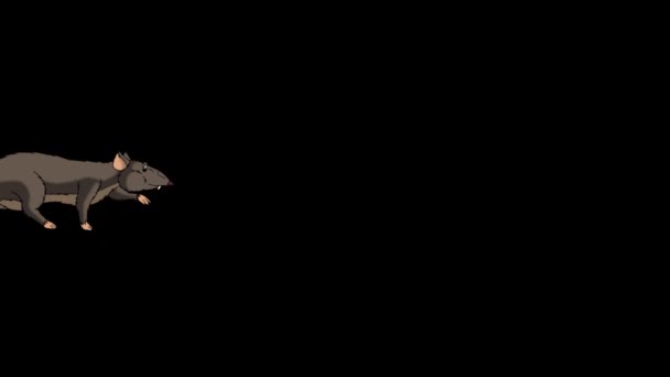 Un rat brun qui se faufile. Graphiques animés en boucle avec canal Alpha . 