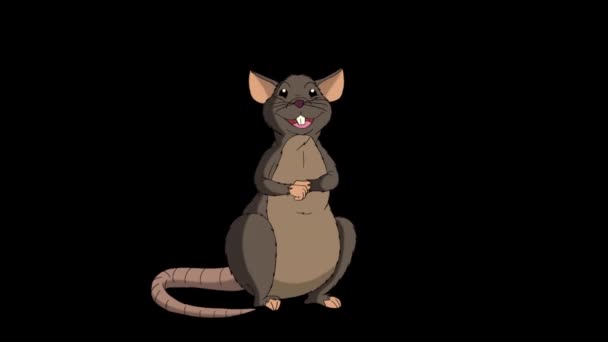 Brown Rat Sits Laughs Animated Looped Motion Graphic Alpha Channel — Stock Video