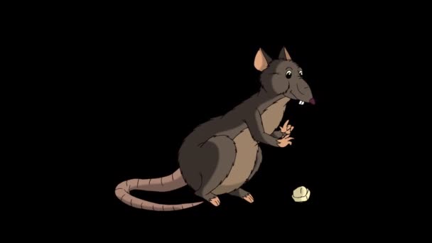 Brown Rat Sits Eats Cheese Animated Looped Motion Graphic Alpha — Stock Video