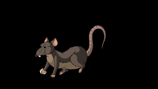 Brown Rat Crawls Out Eats Cheese Animated Looped Motion Graphic — Stock Video