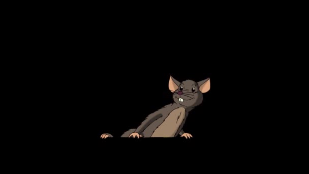 褐色的老鼠爬出来 然后躲起来 带阿尔法通道的动画环路运动图形 — 图库视频影像