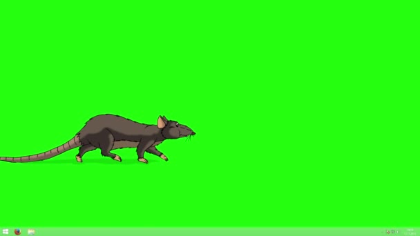 茶色のネズミが来て 葉を出します 緑の画面に隔離されたアニメーションループモーショングラフィック — ストック動画