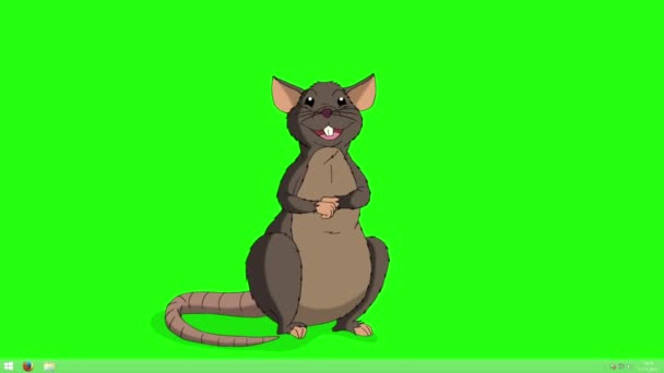 Brown Rat Sits Laughs Animated Looped Motion Graphic Isolated Green — Stock Video