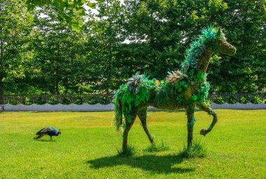 Bulgaristan 'ın Ravadinovo şatosundaki parktaki bitkisel heykeller