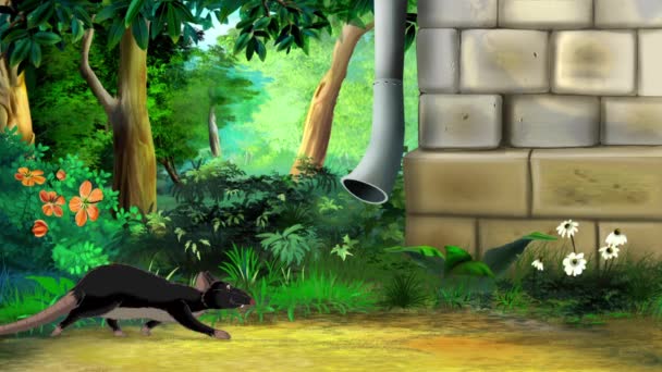 家の近くの黒いネズミ 手作りアニメーション ループモーショングラフィック — ストック動画