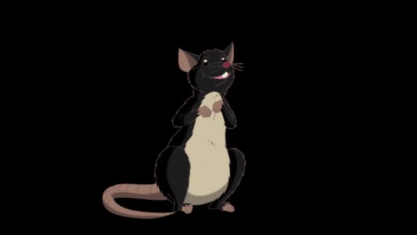Rata Negra Sentada Hablando Animated Looped Motion Graphic Con Canal — Vídeos de Stock