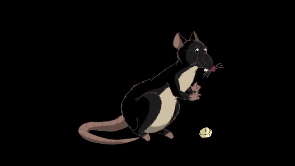 Black Rat Sits Eats Cheese Animated Looped Motion Graphic Alpha — Stock Video