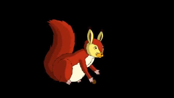 Amerikanisches Rotes Eichhörnchen Sitzt Und Nüsse Isst Animationsmaterial Mit Alphakanal — Stockvideo