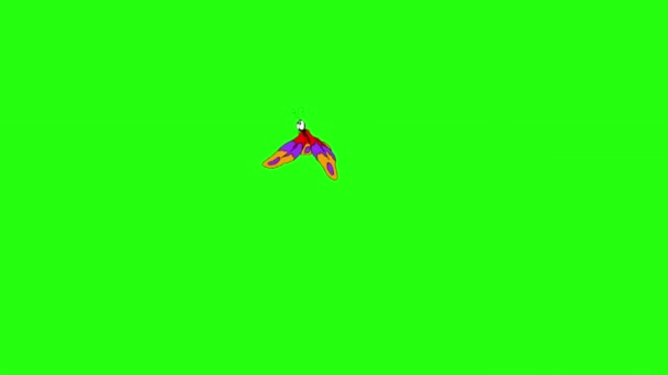 Fläckig Fjäril Flyger Isolerad Grön Skärm — Stockvideo