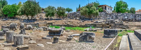 Bas Pelare Den Östra Fasaden Apollotemplet Didyma Turkiet Solig Sommardag — Stockfoto