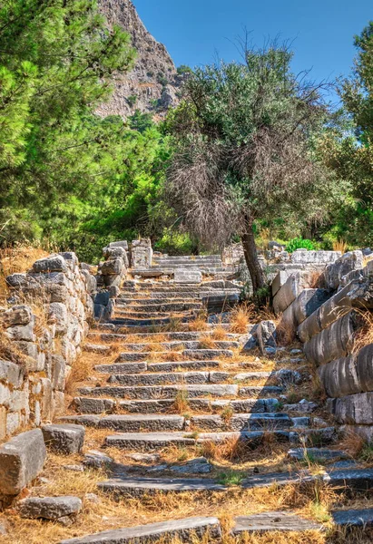 Ruinas Del Teatro Antiguo Ciudad Griega Priene Turquía Soleado Día — Foto de Stock