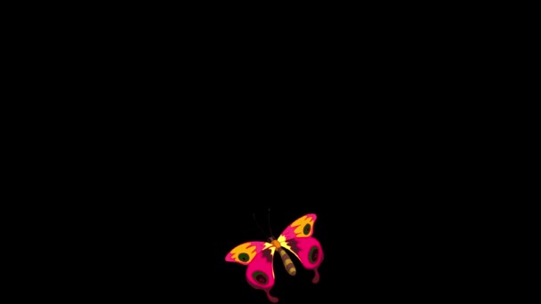 赤いオレンジ色の蝶が飛ぶ アルファチャンネルで隔離されたアニメーション映像 — ストック動画