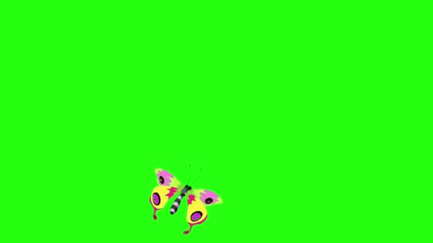 Papillons jaunes tachetés isolés sur écran vert .