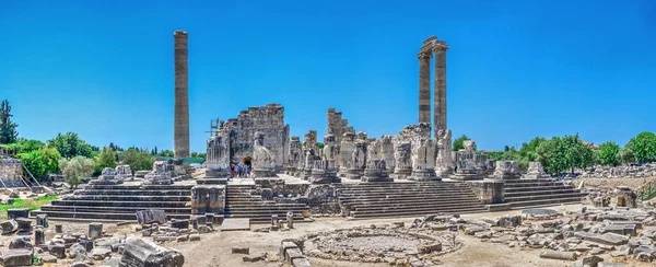 土耳其迪迪马 2019年7月20日 土耳其迪迪马的阿波罗神殿 夏日阳光普照的全景 — 图库照片