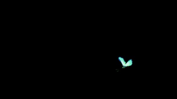ライトブルーの斑点蝶フライ アルファチャンネルで隔離されたアニメーション映像 — ストック動画