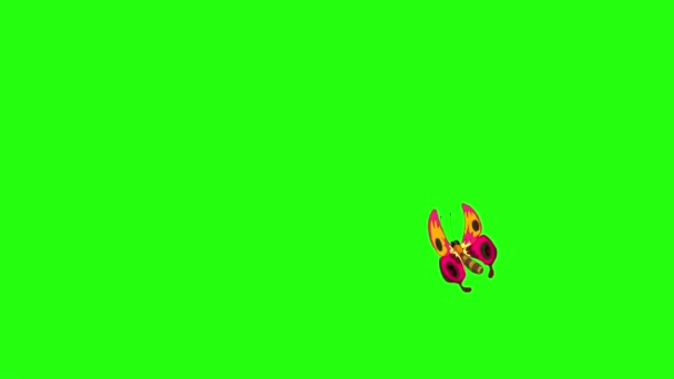 Papillons rouges tachetés isolés sur écran vert .