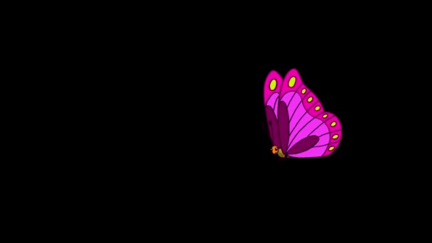 Rot Gestreifter Schmetterling Fliegt Animationsmaterial Isoliert Mit Alpha Kanal — Stockvideo