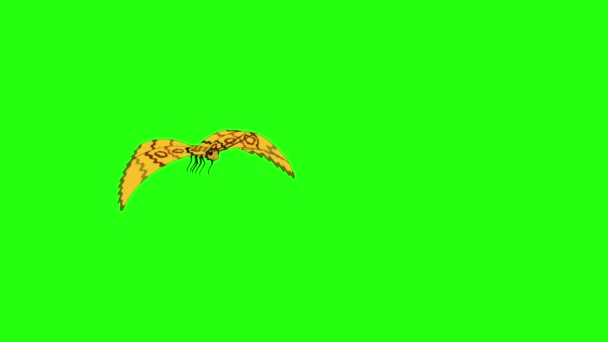 Borboleta Listrada Amarela Voa Imagens Animadas Isoladas Tela Verde — Vídeo de Stock