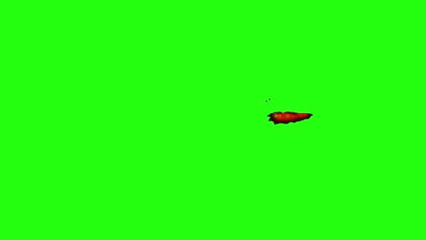 Rödrandig Fjäril Flyger Animerade Slingor Isolerade Grön Skärm — Stockvideo