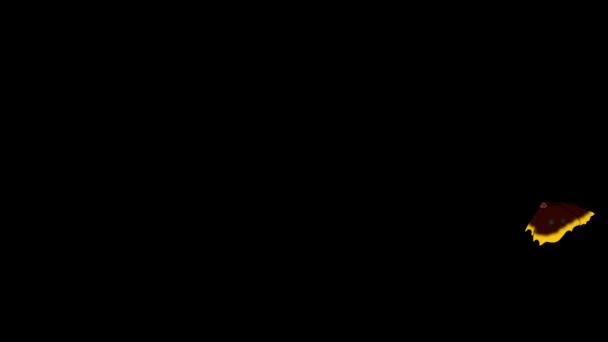 Смугастий Метелик Літає Анімовані Петлі Кадрів Ізольовані Допомогою Альфа Каналу — стокове відео