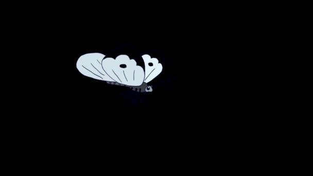 Cabbage White Butterfly Flies Animated Looped Footage Isolated Alpha Channel — Stock Video