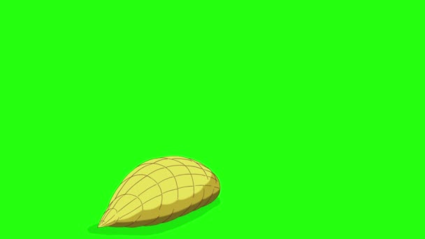 Beautiful Butterfly Hatches Cocoon Animated Looped Footage Isolated Green Screen — Stock Video