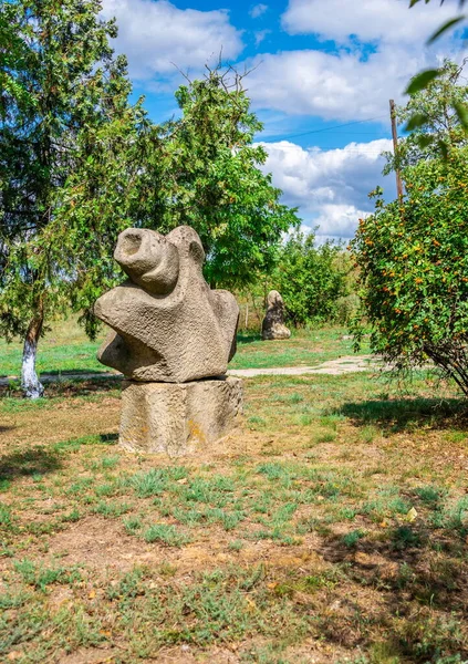 Parutino Ucrania 2019 Antigua Colonia Griega Olbia Orillas Del Río —  Fotos de Stock