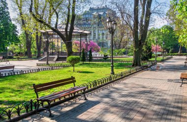 Odessa, Ukrayna 28.04.2020. Ukrayna 'nın Odessa şehrinin bahçesinde güneşli bir nisan sabahı açan bahar ağaçları.