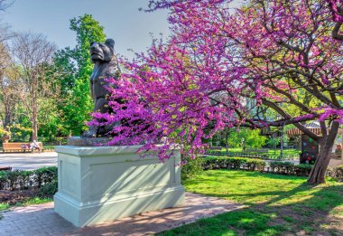 Odessa, Ukrayna 28.04.2020. Ukrayna 'nın Odessa şehrinin bahçesinde güneşli bir nisan sabahı açan bahar ağaçları.