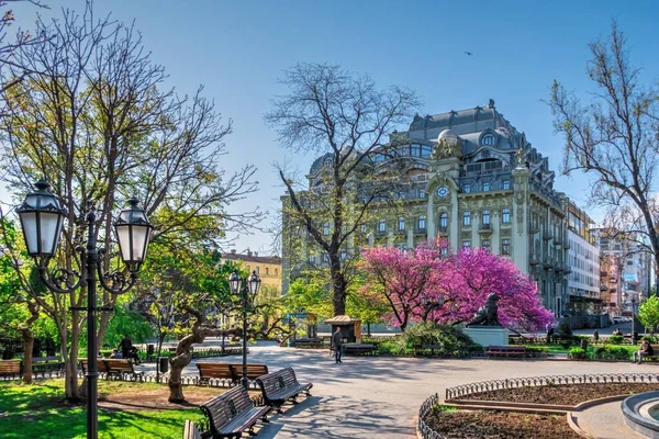 Odessa Oekraïne 2020 Voorjaar Bloeiende Bomen Stadstuin Van Odessa Oekraïne — Stockfoto