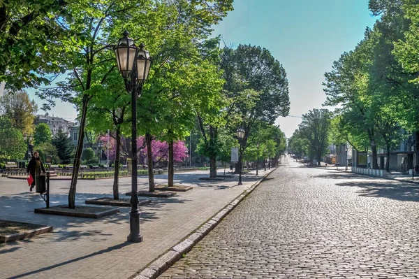 Odesa Ucrania 2020 Los Árboles Con Flores Primavera Jardín Ciudad — Foto de Stock