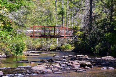 Dupont Eyalet Ormanı 'ndaki Küçük Nehir Köprüsü. Kuzey Carolina Hooker Falls, Triple Falls ve High Falls Yürüyüşü' nde..