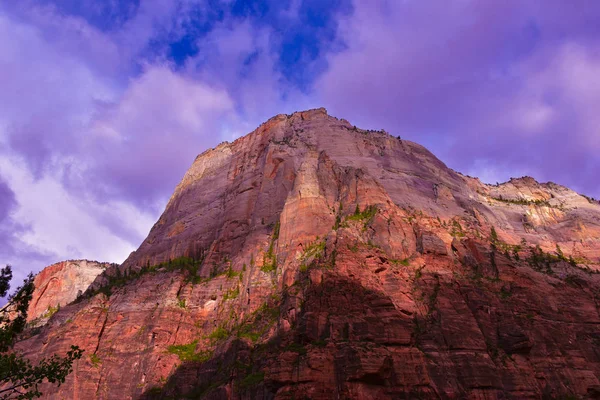 Grand Trône Blanc Dans Premier Parc National Sion Utah Des — Photo