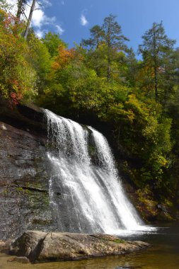 Blue Ridge Parkway 'den çok da uzak olmayan Silver Run Falls Nantahala Ulusal Ormanı' nda 10 metrelik bir şelale Jackson County 'nin kasiyerlerindeki Rhododendrons çiçekleriyle kaplı sakin bir havuza düştü.