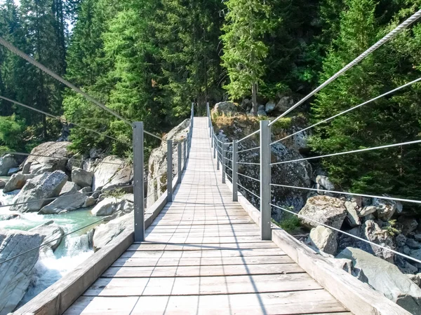 Ponte tibetano sul Reno — Foto Stock