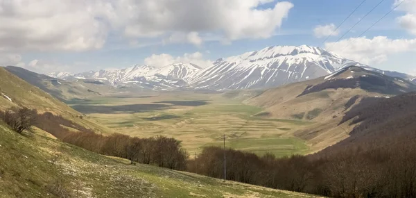 Castelluccio di Norcia velký plán — Stock fotografie