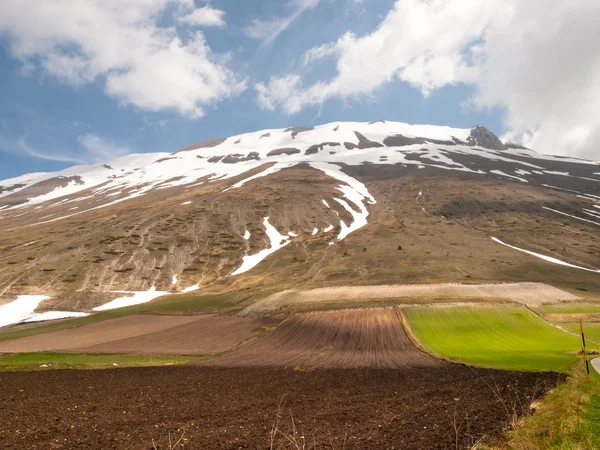 Castelluccio di Norcia velký plán — Stock fotografie