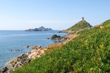 Isle des sanguinares