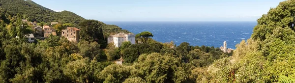 Pobřežní krajina a lesní Cap Corse — Stock fotografie
