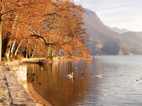 Botanischer Park der Stadt — Stockfoto