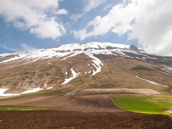 Castelluccio di Norcia gran plan — Foto de Stock