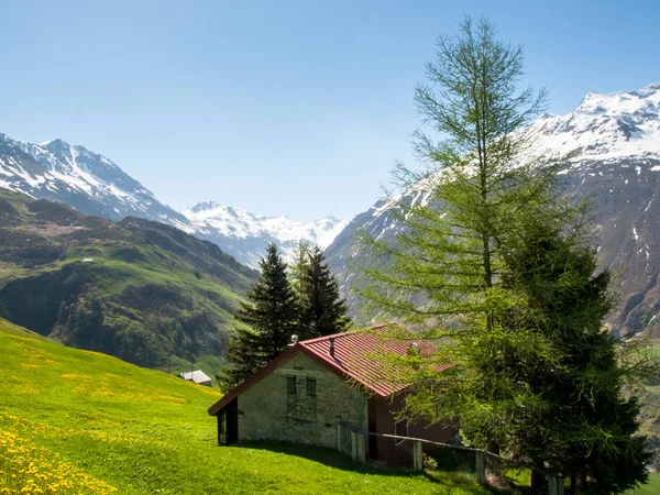 Andermatt, pastagens e montanhas — Fotografia de Stock