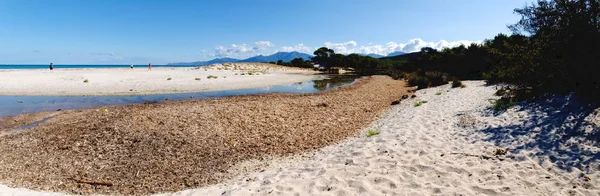 La playa de Saleccia — Foto de Stock