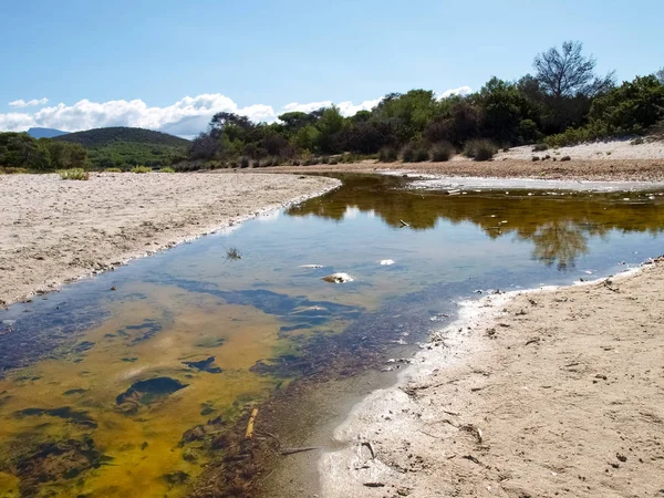 Der strand von saleccia — Stockfoto