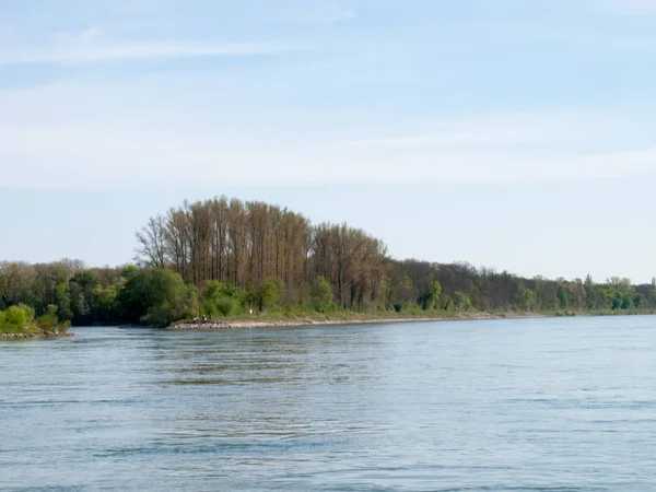 River Rhine and nature — Stock Photo, Image