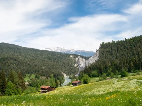 Ущелина Rheinschlucht — стокове фото