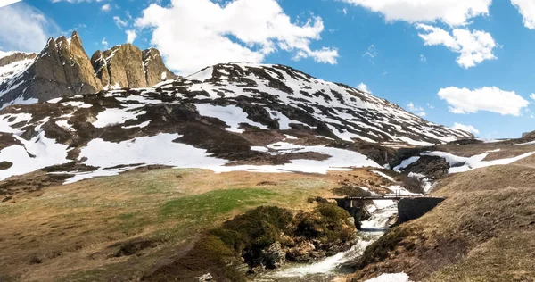 Ruisseau de montagne descend luxuriante — Photo