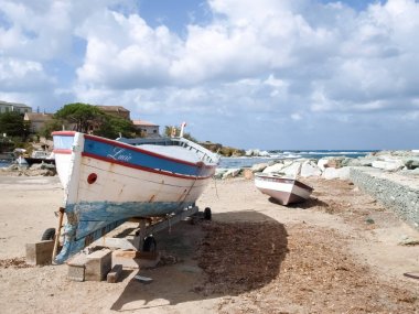 kıyı arazi ve orman Cap Corse